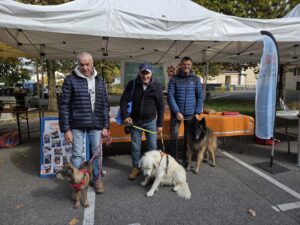 Photo Fête Pomme 2024